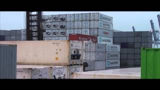 Wolf Parade - It's A Curse