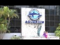 SNN: Mote's 'Shark Lady' Eugenie Clark Remembered