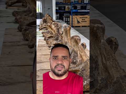 Fóssil de dinossauro GIGANTE foi encontrado no BRASIL! #youtubeshorts #curiosidades #curiosidades
