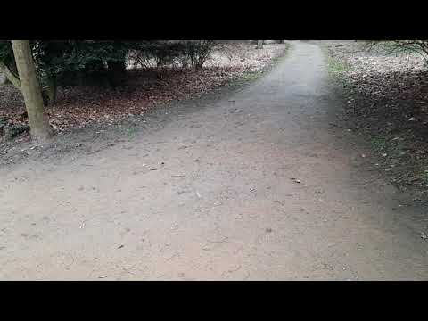 Krumke Sage von der 'rothen' Erde. Jaha, 😀der Weg ist in natura ocker