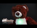 BooBuddy Interactive Ghost Hunting Bear