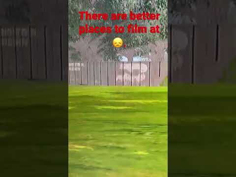 Not so great filming spot in Trainz A New Era SP4