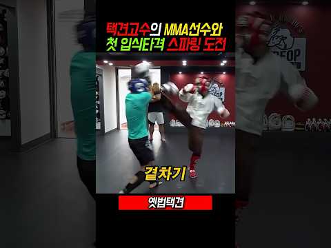 택견고수와 mma선수의 찐 스파링! 팀매드 수장 양감독님의 평가는?