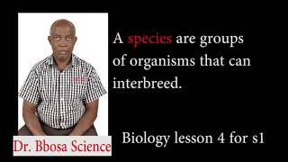 Classification of organism – S1 biology lesson 4