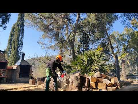 Greencut GS680X 22" cadena Oregon diente azul, bujia NGK