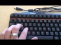 Zalman ZM-K500 vs. Razer BlackWidow 