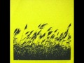 The Radio Dept. - We Would Fall Against the Tide