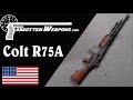 Colt R75A: The Last Commercial BAR (With Shooting)