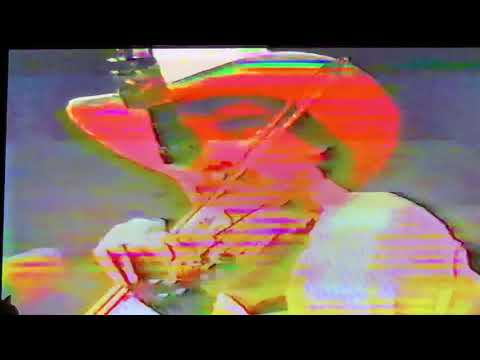 Matt Hartz - 49 Cats in the Rain Barrel