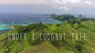 Shakira - Coconut tree (Lyrics)