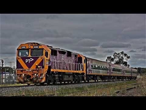 V/Line SG Carriage Transfer to Seymour
