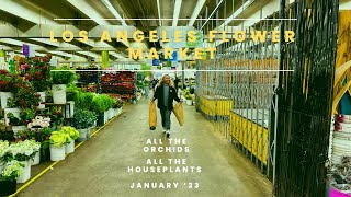 All The Plants and Orchids at the LA Flower Market
