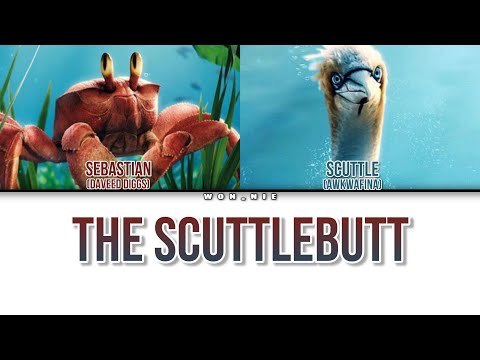 The Scuttlebutt By Daveed Diggs & Awkwafina (From The Little Mermaid) (Colour Coded Lyrics)