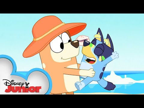 Blueyと一緒に星のゲームをしよう!Bluey｜ディズニージュニア (Play the Star Game with Bluey! ?| Bluey | Disney Junior)