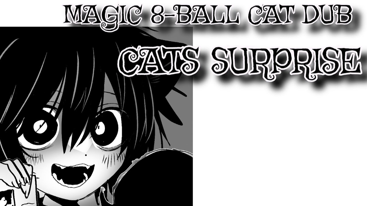 Magic 8-Ball Cat Webtoon Dub: Cat's Surprise!