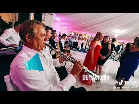 Florin Budău - Joacă steagul măi Mihai /Nuntă / Contact solist: 0744837600