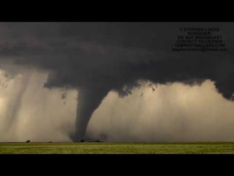 SIREN SONG: THE DODGE CITY TORNADOES BY STEPHEN LOCKE