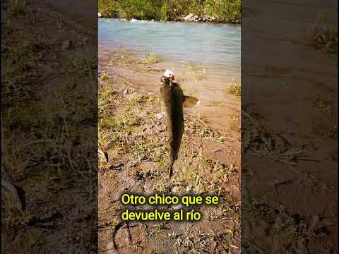 DÍA DE PESCA | RÍO CORTADERAL | Machalí, región de O’higgins, Chile.