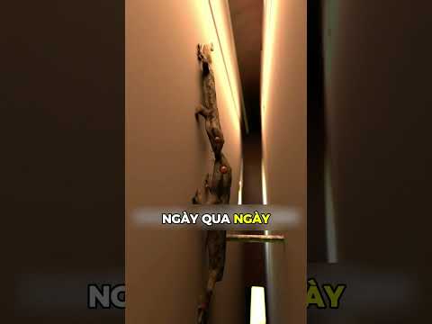 Những câu chuyện cảm động 2 #trending #giaitri