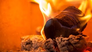 New ground in bio-fuel: logs made from coffee