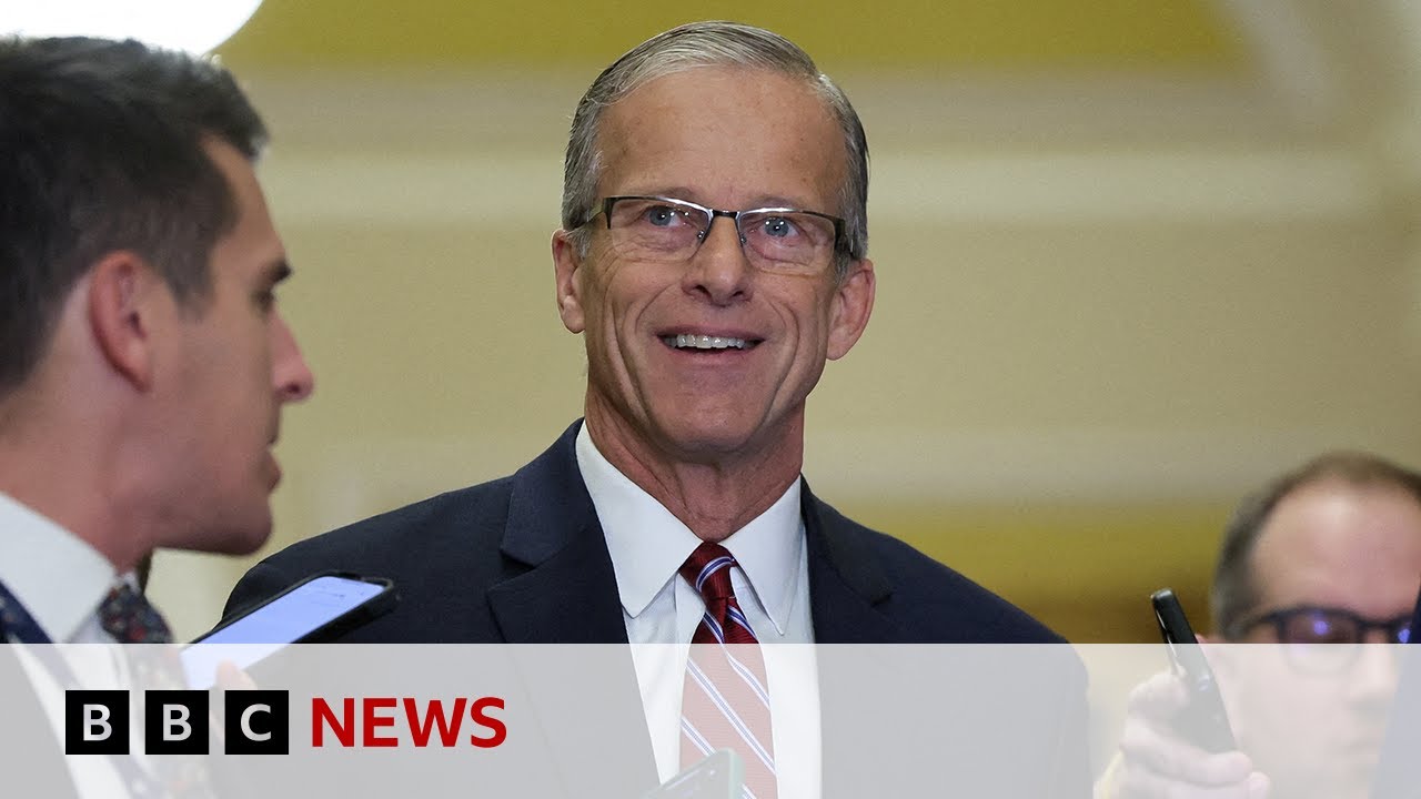 John Thune elected new republican Senate leader | BBC News