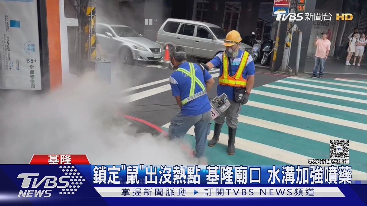 影音／今年第3例!新北男赴基隆工作遭鼠咬確診漢他病毒　新北.基隆大清消