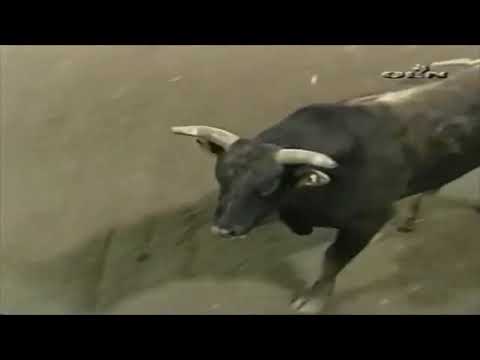 Kid Rock bucks Tanner Robertson - 03 PBR Billings