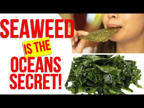 10 Seaweed Benefits That Will AMAZE You!