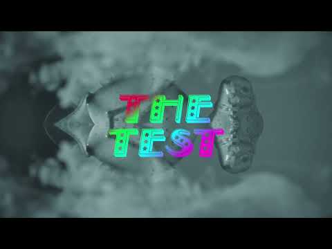 Billy Nomates - The Test (official visualiser)
