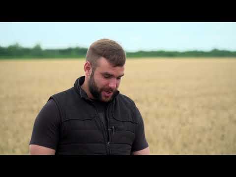 Srpski domaćin ep. 20 25.06.2020. Nikola Mijić, Bukovac, opština Sombor, ratarstvo