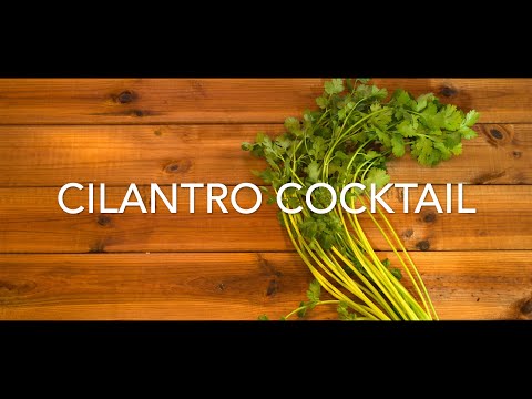 【original cocktail】How to make CILANTRO COCKTAIL/パクチーカクテルの作り方