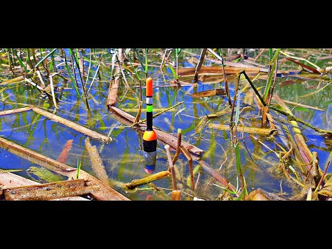 Pescuit la pluta cea mai buna nada din lume