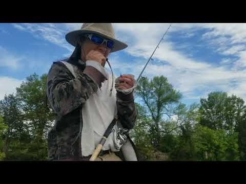 Maybe it just needs a little Salami