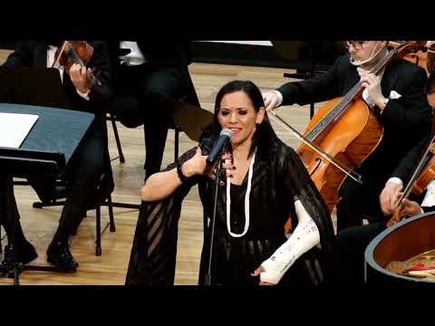 Astor Piazzolla, Siempre se vuelve a Buenos Aires - Analia Selis