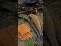 Trout Catch Cook And Chicken Of The Woods With Doug