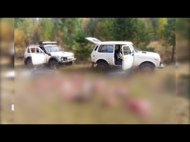 Охота на благородного оленя