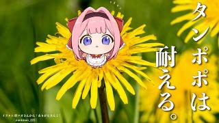 【ゲーム実況】タンポポは耐える。しかしこの中学生はどうかな？【周央サンゴゴ】