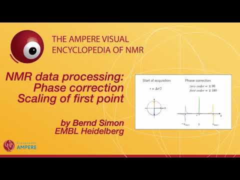 NMR data processing: Phase correction, Scaling of first point