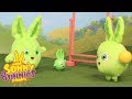 Toyplay for Children | SUNNY BUNNIES - DOUBLE TROUBLE | Funny Cartoons For Children