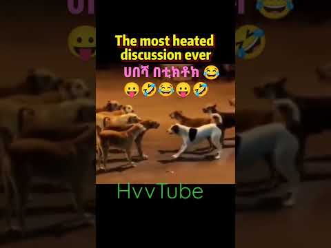 THE MOST HEATED DISCUSSION EVER