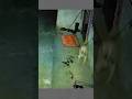 Ghost Attacked My Dog Dog Terrified By Ghost Caught On Camera Viral Pitbull Wolfdog Dogbreed