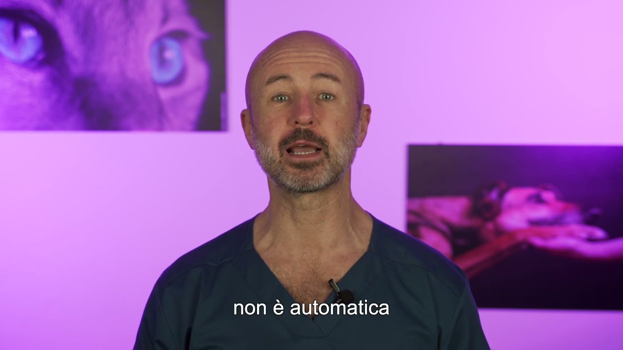 Watch Now 115 - Probiotici nel cane e nel gatto: come, quando e perchè 115 - Probiotici nel cane e nel gatto: come, quando e perchè