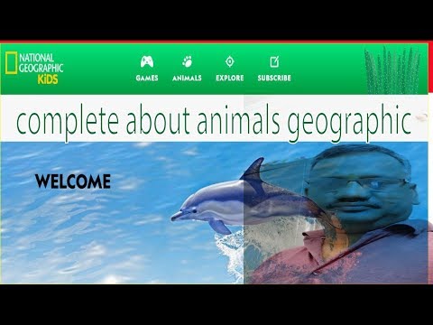 complete animals for kids to learn with national geographic kids