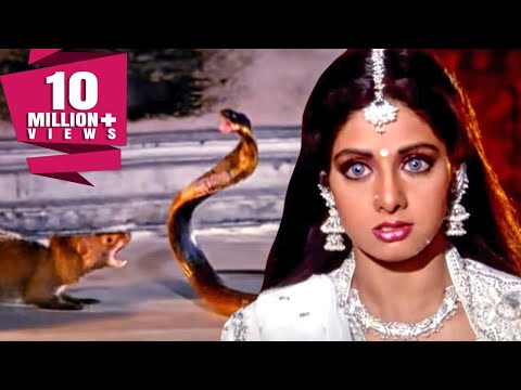 शाप और नेवले की जान बचाने जब श्रीदेवी गोरखनाथ के पास आयी तब देखिये क्या हुआ