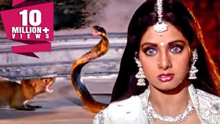 Download lagu शाप और नेवले की जान बचाने जब श्रीदेवी गोरखनाथ के पास आयी तब देखिये क्या हुआ mp3