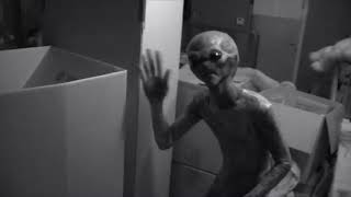 Erykah Badu - That Hump (STLY Remix)