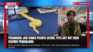 Festival Satwa, Edukasi dan Hiburan Jadi Satu