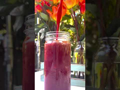 Fat Sick and Nearly Dead V8 Juice #shorts Anti inflammatory recipe
