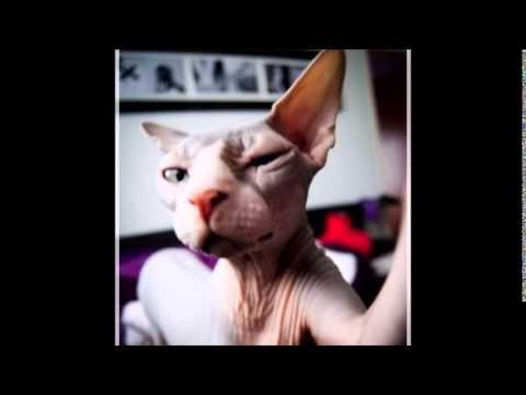 J.D.Z AfisZ - spontan dirty synu