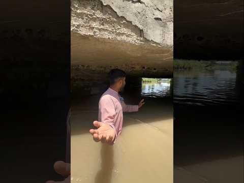 How Do People Catch Birds In The Water? #shorts